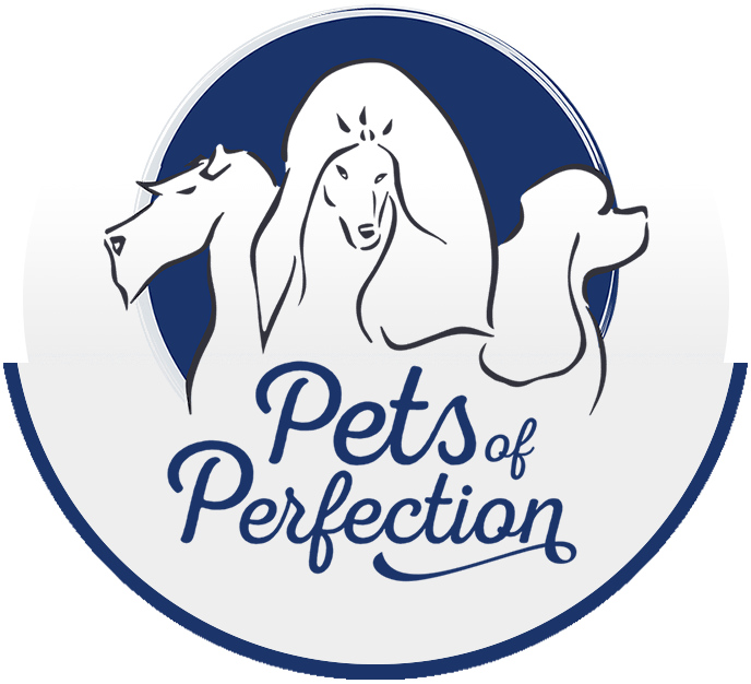 Pets of Perfection